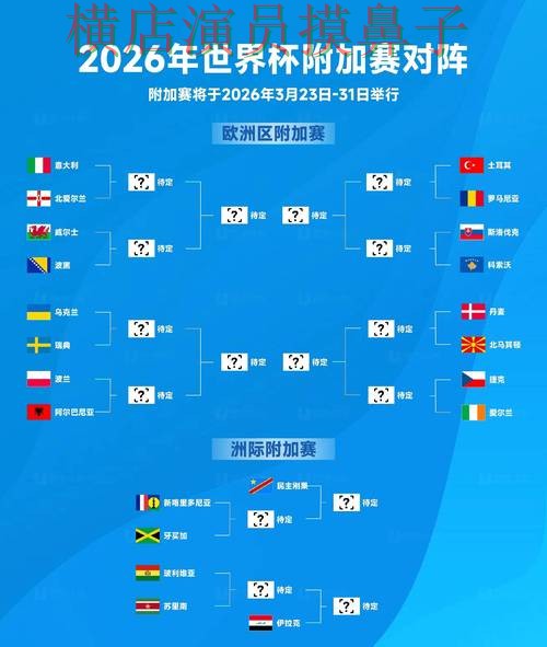世界杯投注网站大全整理合集：覆盖平台排行+直播与入口方式 - 2026世界杯