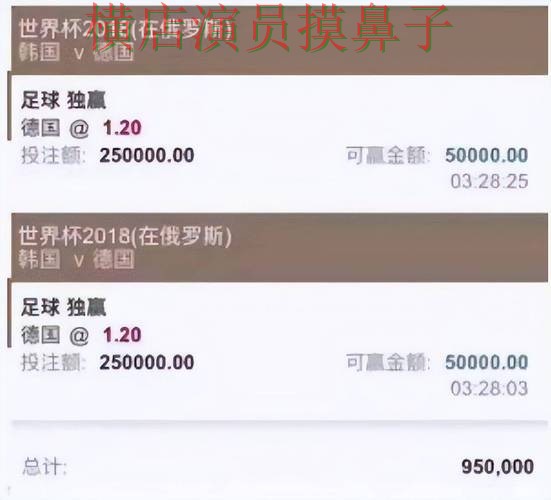 世界杯投注平台推荐精选报告:玩法指南与实际体验总结 - 世界杯数据 世界杯投注平台推荐精选报告:玩法指南与实际体验总结 - 世界杯数据