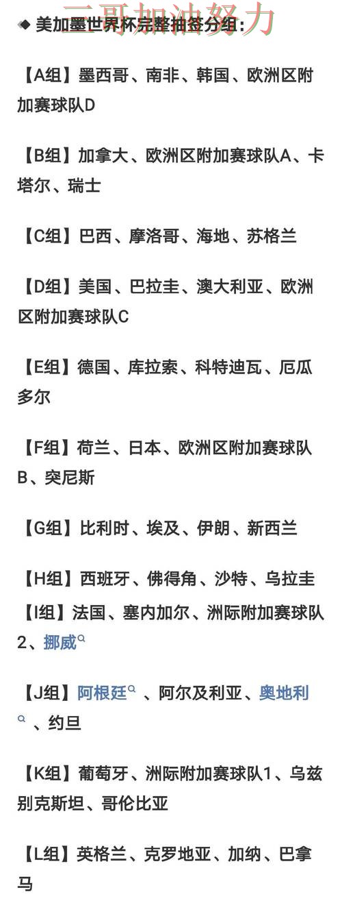 世界杯投注平台怎么选别乱选，数据分析给你答案（2026世界杯）